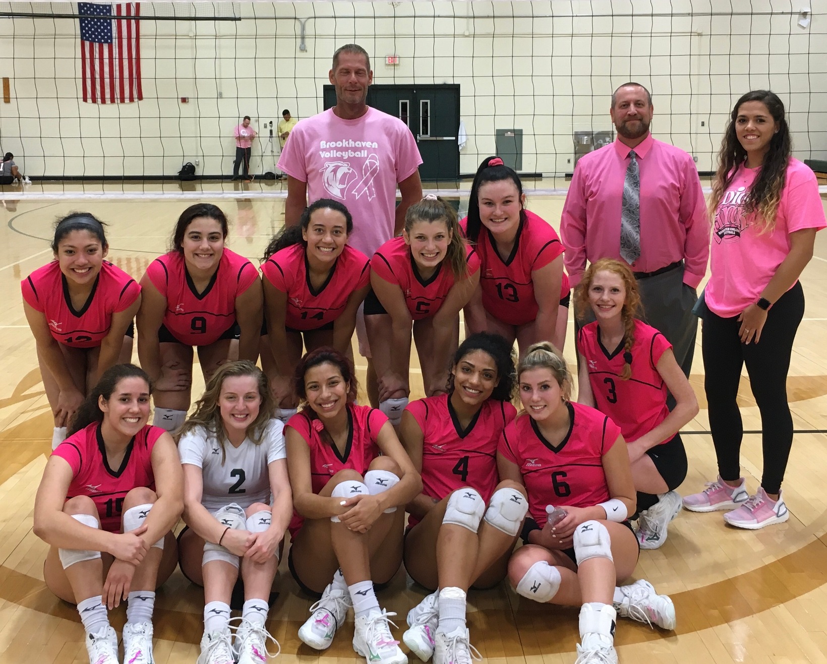 This is a picture of the 2019 Volleyball Team dressed in pink for the Dig Pink match. 